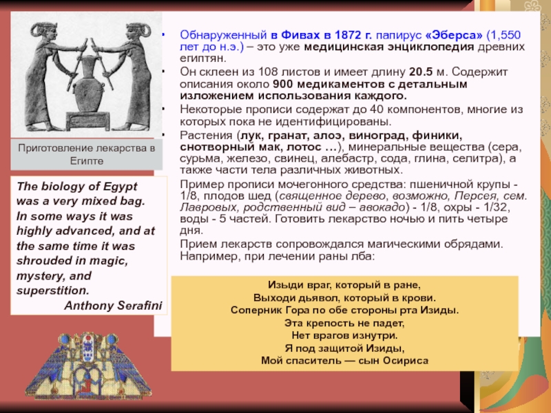 История и методология биологии Обнаруженный в Фивах в 1872 г. папирус «Эберса» (1,550 лет до Обнаруженный в Фивах в 1872 г. папирус «Эберса» (1,550 лет до н.э.) – это уже медицинская энциклопедия