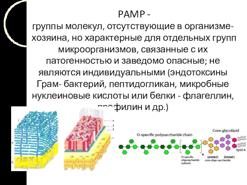 Наличие связей отсутствует