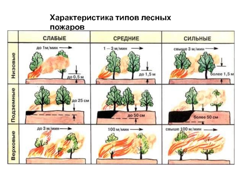 Рисунок зоны пожара