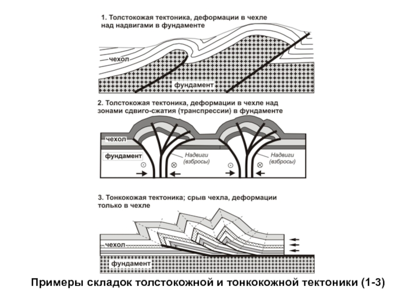 Структурная основа любого изображения