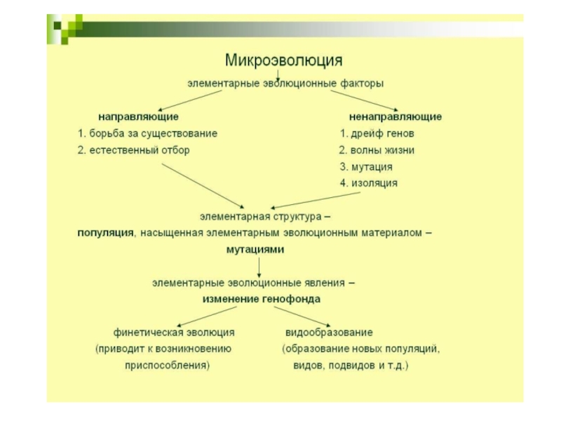 Элементарные факторы эволюции презентация