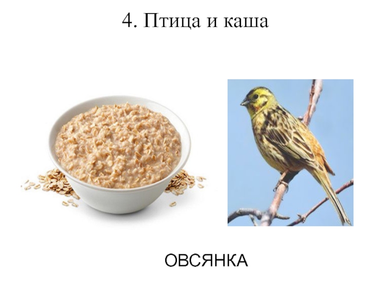 Есть такая каша и есть такая птица