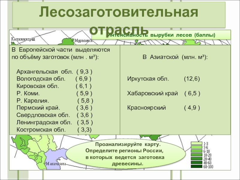 Интенсивность вырубки лесов (баллы)    Проанализируйте карту. Определите регионы России, в которых ведется заготовка