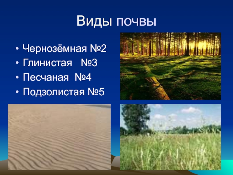 Почвах вашего края. Почва нашего края. Почва нашего края презентация. Сообщение о почвах нашего края. Почвы Ставропольского края.