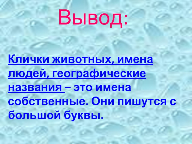 Имена собственные географические названия 2 класс презентация. Клички животных и географические названия пишутся с большой буквы.