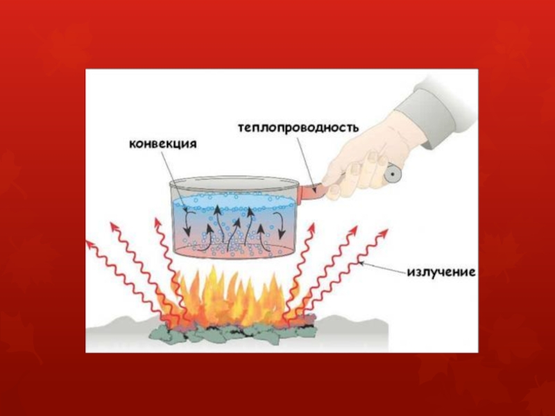 Презентация виды теплопередачи