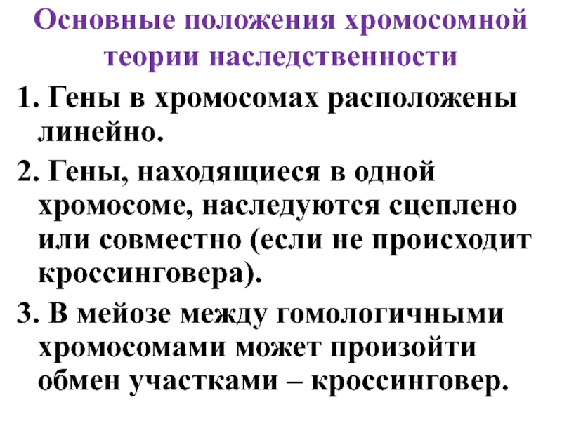 Открытие хромосомной теории. Основные положения менделевской теории наследственности. Основные положения хромосомной теории наследственно. 2. Основные положения хромосомной теории наследственности.. Хромосомная теория наследственности 4 положения.