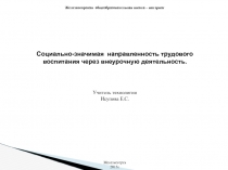 Социально-значимая  направленность трудового воспитания через внеурочную деятельность