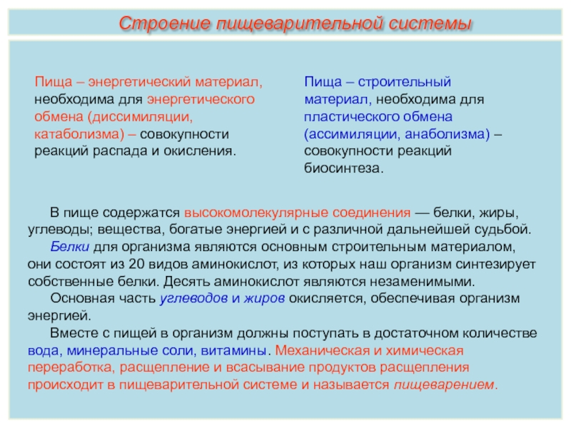 Превращение трипсиногена в трипсин. Вещества богатые энергией. Химотрипсин выполняет функцию.