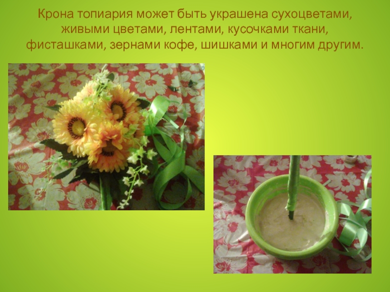 Крона топиария может быть украшена сухоцветами, живыми цветами, лентами, кусочками ткани, фисташками, зернами кофе, шишками и многим