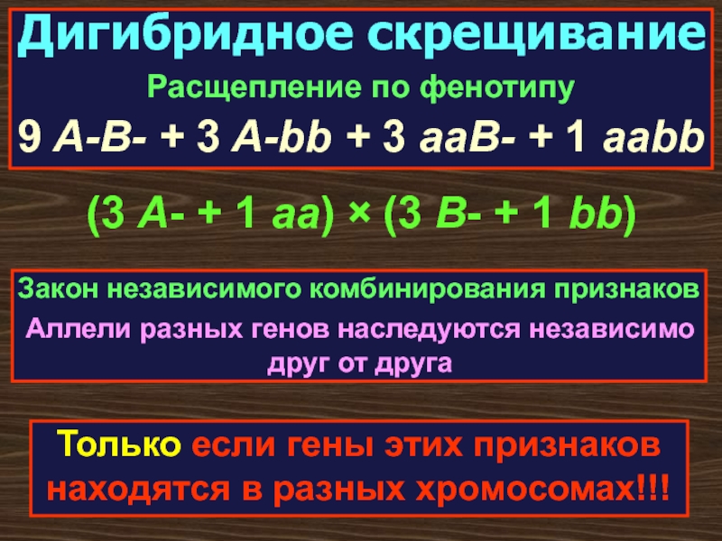 Расщепление 9 3. Дигибридное скрещивание расщепление по фенотипу. Расщепление 9 3 3 1. 9 3 3 1 Расщепление по фенотипу. AABB AABB расщепление по фенотипу.