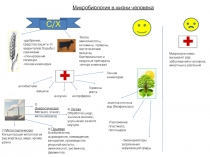 Микробиология в жизни человека