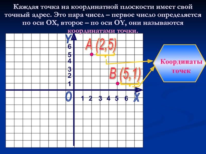 Точка каждый. Место точки на координатной плоскости определяется. Координатная плоскость первое число. Графическая информация с помощью чисел. Каждая точка на координатной плоскости имеет свой адрес.