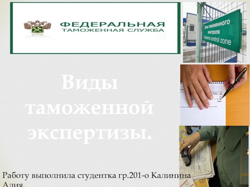 Презентация работу выполнил