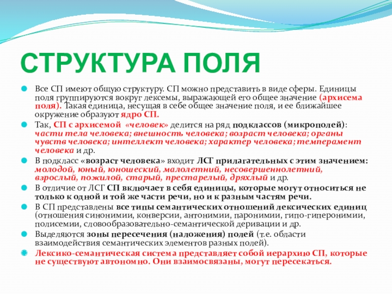 Единица поля. Структура поля. Структура свода правил. Состав СП. Архисема.