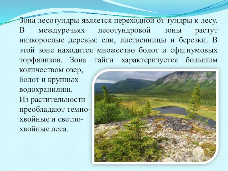 Почвы лесотундры. Климат лесотундры в России. Зона лесотундры. Природные условия тундры и лесотундры. Лесотундра переходная зона.