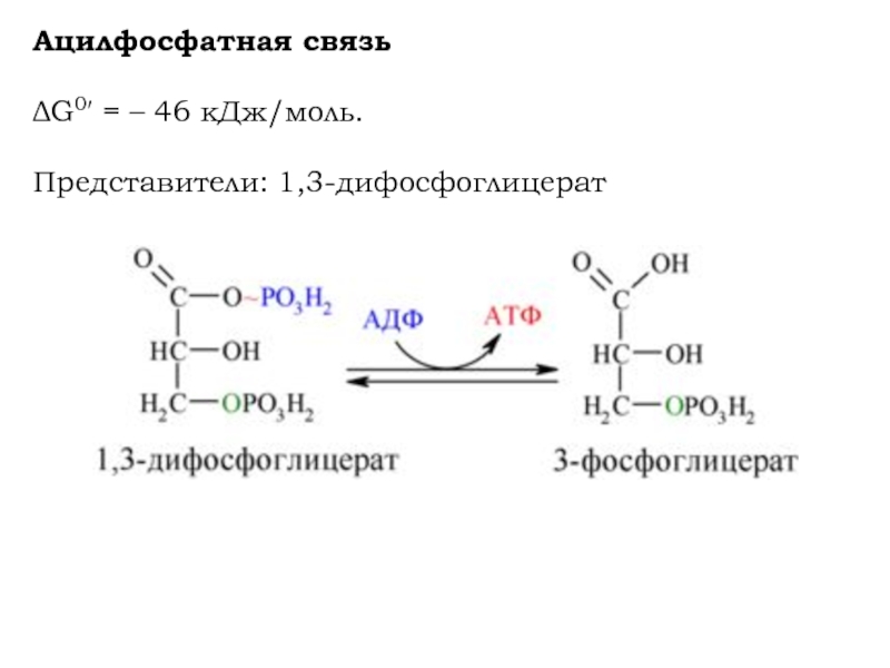 Макроэргические соединения. 1 3 Дифосфоглицерат. Ацилфосфатная макроэргическая связь. 1 3 Дифосфоглицерат в 2 3 дифосфоглицерат. Гуанидинфосфатная макроэргическая связь.