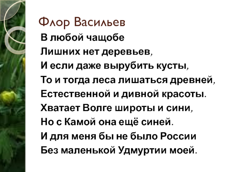 Флора васильева хватает волге широты и сини