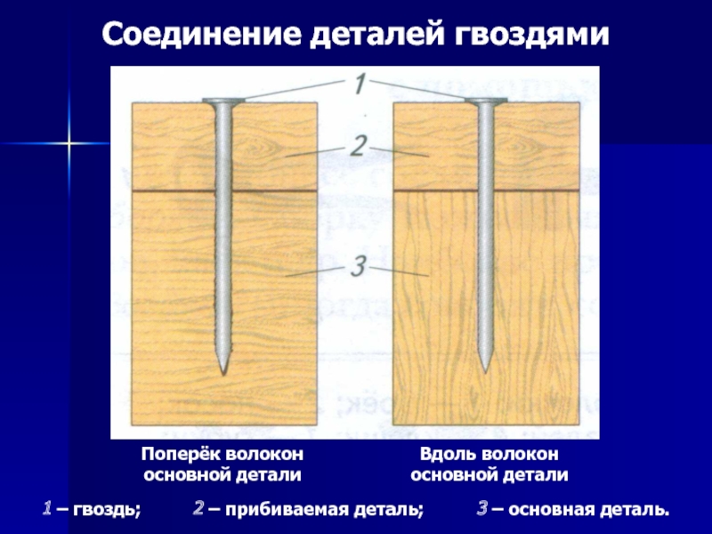 Почему выступающие концы гвоздей дополнительно. Соединение деталей гвоздями. Соединение деталей из древесины гвоздями. Соединение древесины шурупами. Соединение деревянных деталей гвоздями.