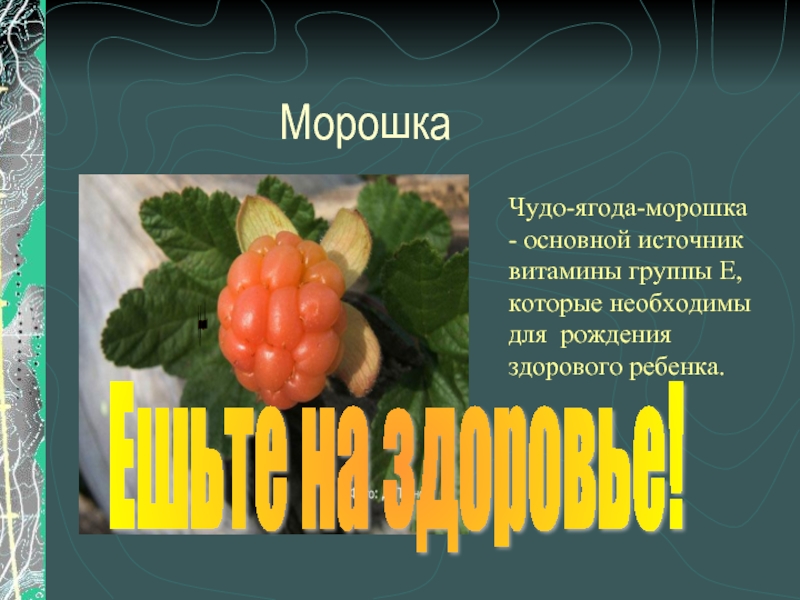 Единая карта жителя морошка. Морошка. Морошка витамины. Проект Морошка. Сообщение о морошке.