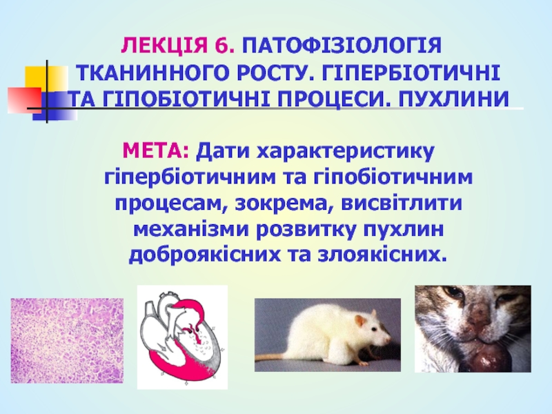 Презентация ЛЕКЦІЯ 6. ПАТОФІЗІОЛОГІЯ ТКАНИННОГО РОСТУ. ГІПЕРБІОТИЧНІ ТА ГІПОБІОТИЧНІ