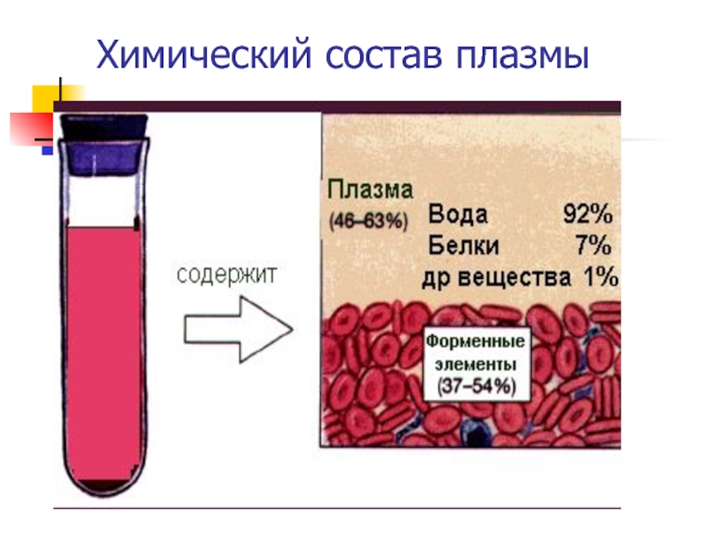 Плазма крови презентация