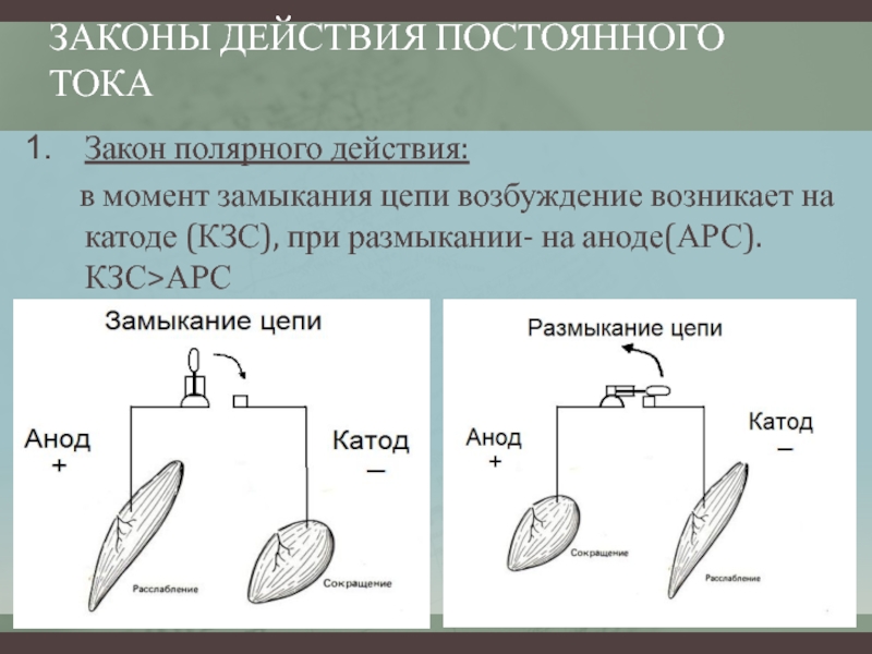 Действуя постоянной. Полярное действие постоянного тока. Закон действия постоянного тока. Закон полярного действия. Закон действия постоянного тока физиология.