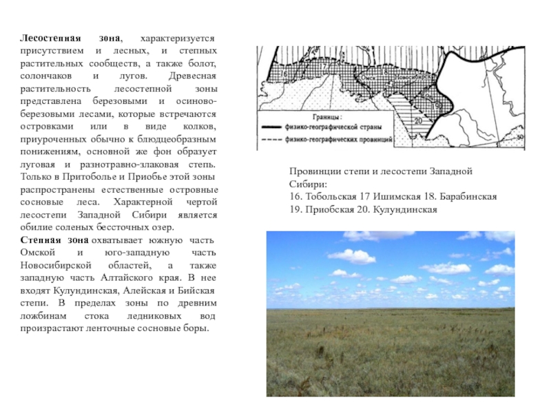 Дайте характеристику природных зон западной сибири. Степная зона Западной Сибири. Западно Сибирская равнина лесостепь. Западно-Сибирская лесостепь характеристика. Болот лесостепной зоны.