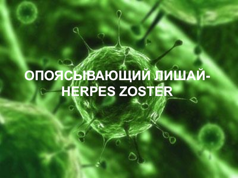 Презентация Зостер  вирус