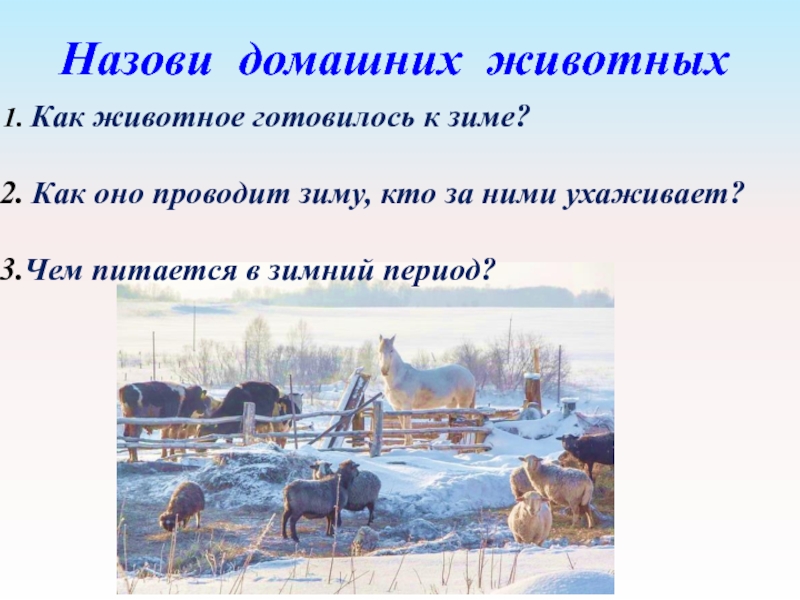 Называть устраивать. Домашние животные зимой презентация. Как ухаживать за домашними животными зимой. Домашние животные зимой для детей. Жизнь домашних животных зимой.