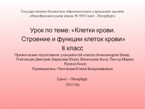 Клетки крови. Строение и функции клеток крови 8 класс