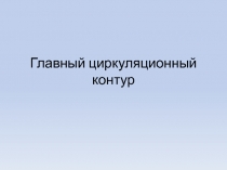 Главный циркуляционный контур