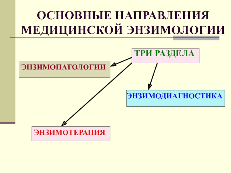 Направления в медицине. Основные раздел энзимодиагностика энзимотерапия.