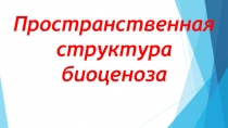 Пространственная структура биоценоза