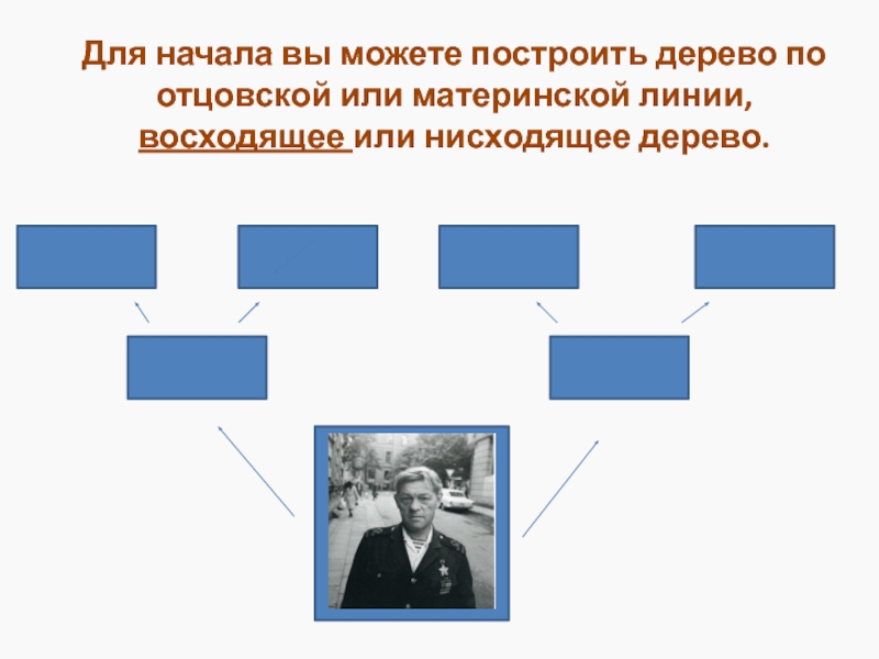 Информационную модель родословной часто представляют в виде таблицы дерева сети плана