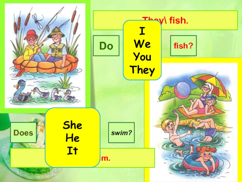 Did swim. Frogs Swim do или does. Как написать по английски they Swim. Do does Fish. He she Fish.