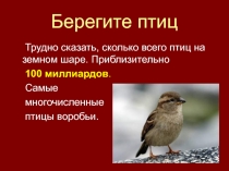 Берегите птиц