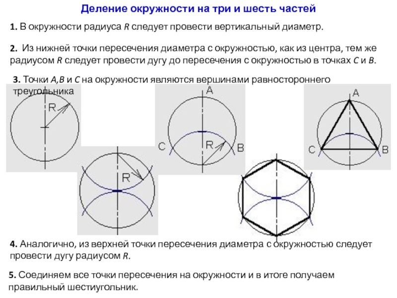 Пересечение диаметров. Деление окружности на 3 части. Точки деления окружности. Пересечение диаметров в окружности. Круг разделенный на три части.