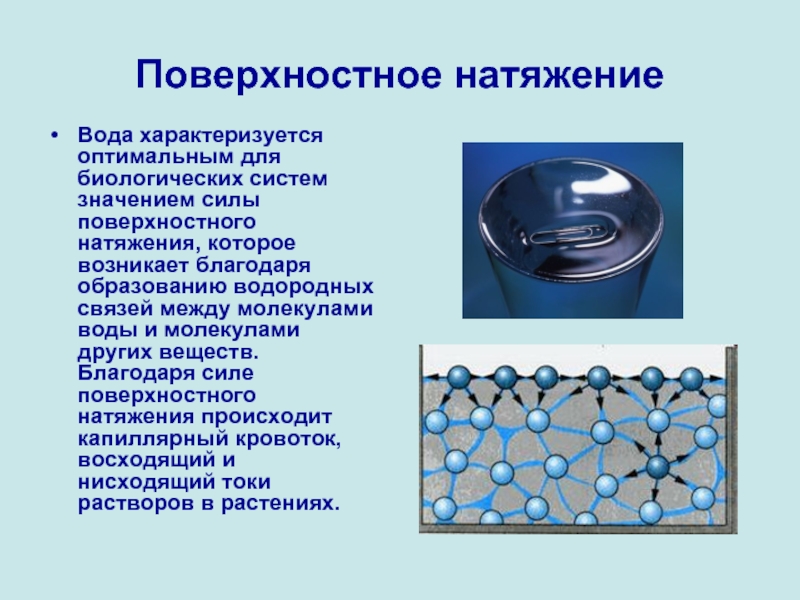 Сила поверхностного натяжения презентация