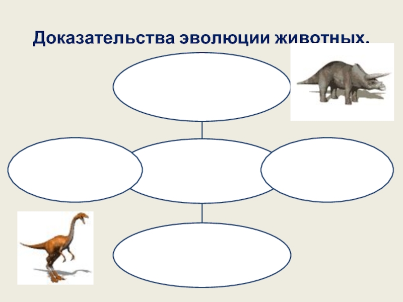 В какой последовательности появлялись животные. Эволюция животных. Этапы эволюции животных. Доказательства эволюции животных. Основные этапы развития животных.