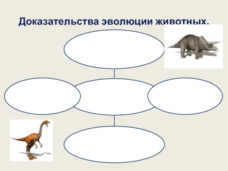 Докажи что животное. Доказательства эволюции животных биология 7 класс. Процесс эволюции животных. Доказать эволюцию животных. Эволюция животных презентация.