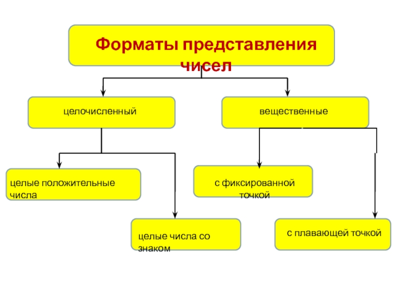 Различные представления чисел. Форматы представления чисел. Особенности представления чисел в компьютере. Схема представления чисел. Форматы представления числовой информации в ПК..