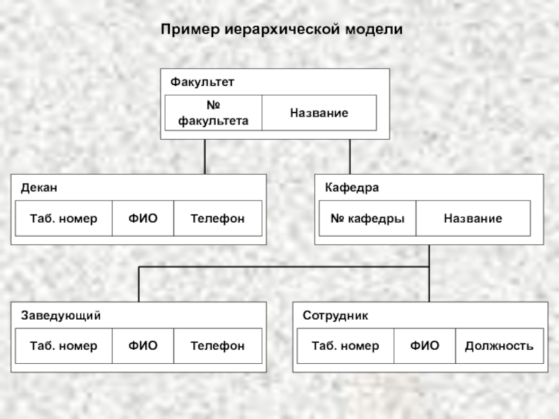 Иерархическая модель данных презентация