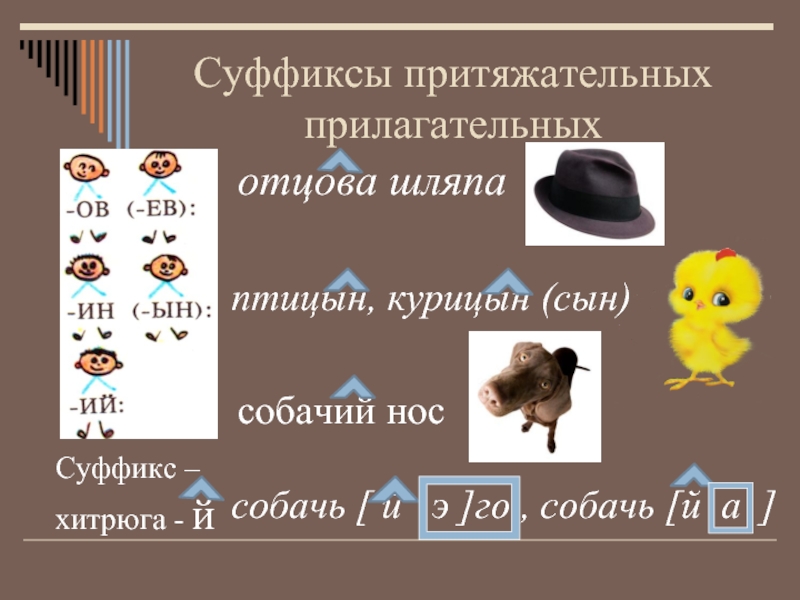 Притяжательные прилагательные 3 класс школа 21 века презентация