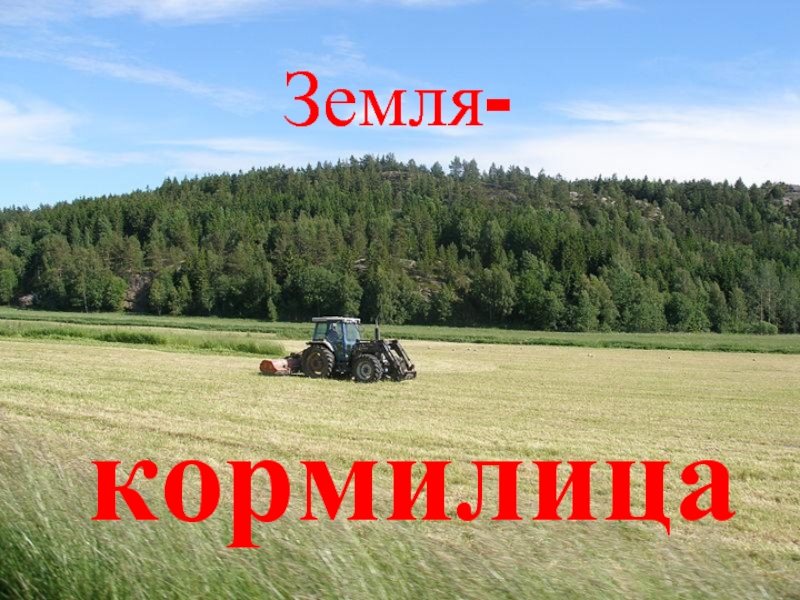 Какая почва в республике Мордовия? (4класс)