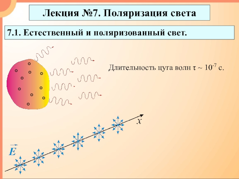 Поляризация света 