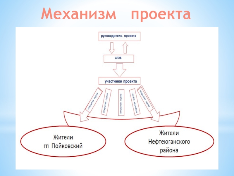 Проект механизм. Механизм проекта.