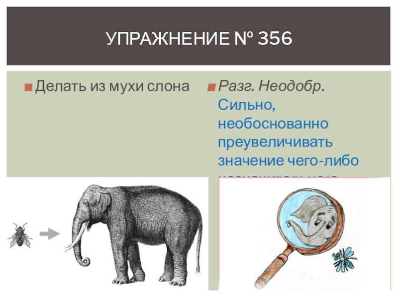 Придумай и нарисуй слономуху и мухослона заполни таблицы