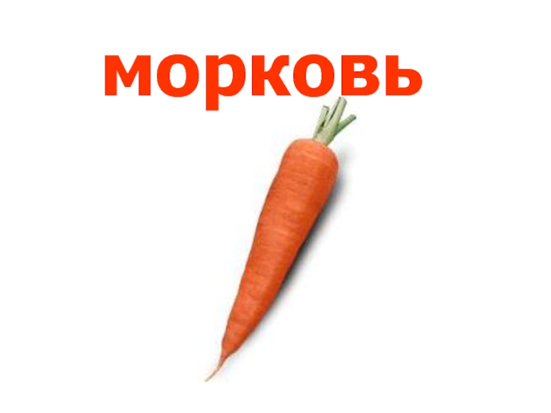 Включи морковь про новый. Морковь. Морковь Pro. Морковь про канал. Морковь Pro ютуб.