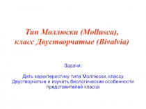 Тип Моллюски ( Mollusca ), класс Двустворчатые (Bivalvia)
Задачи:
Дать